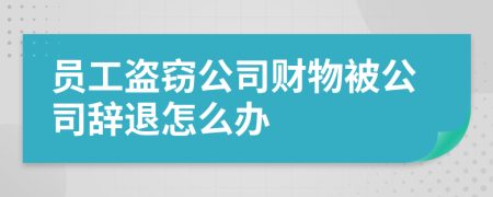 员工盗窃公司财物被公司辞退怎么办