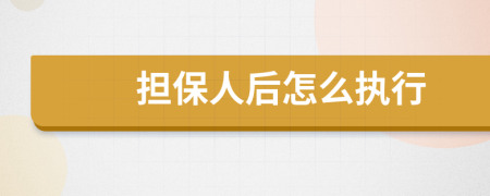 担保人后怎么执行