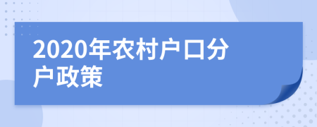 2020年农村户口分户政策