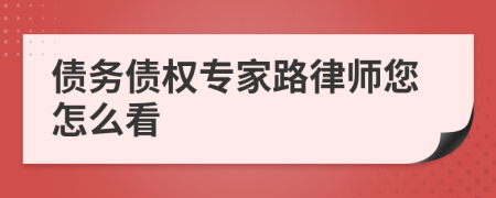 债务债权专家路律师您怎么看