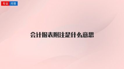 会计报表附注是什么意思