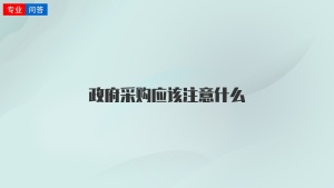 政府采购应该注意什么