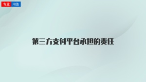 第三方支付平台承担的责任