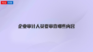 企业审计人员要审查哪些内容