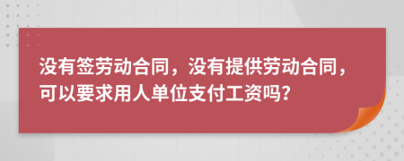 没有签劳动合同，没有提供劳动合同，可以要求用人单位支付工资吗？