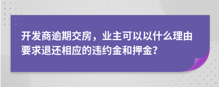 开发商逾期交房，业主可以以什么理由要求退还相应的违约金和押金？