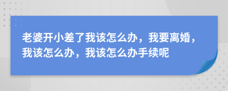 老婆开小差了我该怎么办，我要离婚，我该怎么办，我该怎么办手续呢