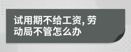 试用期不给工资, 劳动局不管怎么办