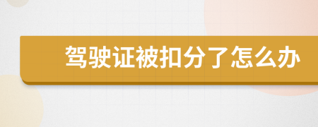 驾驶证被扣分了怎么办