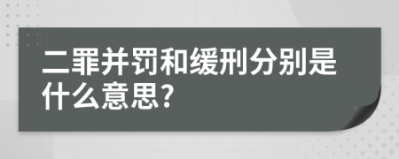 二罪并罚和缓刑分别是什么意思?