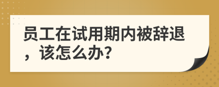 员工在试用期内被辞退，该怎么办？