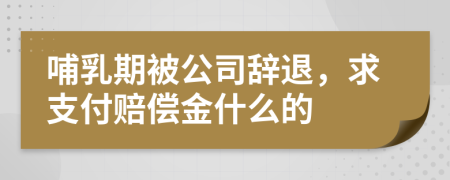 哺乳期被公司辞退，求支付赔偿金什么的
