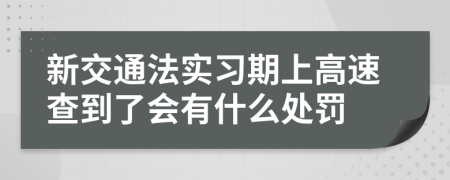 新交通法实习期上高速查到了会有什么处罚