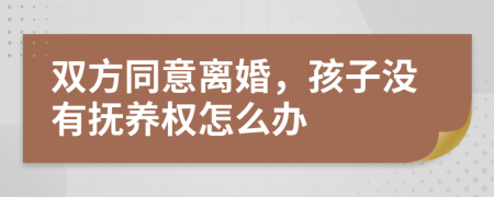 双方同意离婚，孩子没有抚养权怎么办