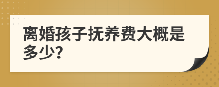 离婚孩子抚养费大概是多少？