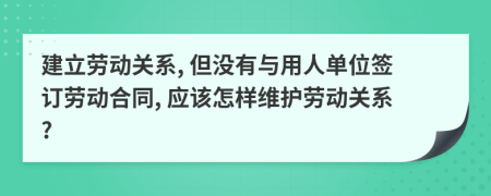 建立劳动关系, 但没有与用人单位签订劳动合同, 应该怎样维护劳动关系?