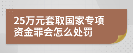 25万元套取国家专项资金罪会怎么处罚