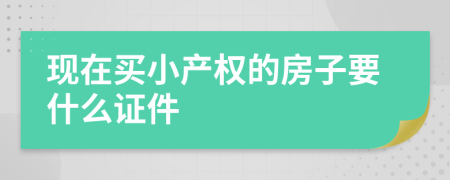 现在买小产权的房子要什么证件