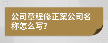 公司章程修正案公司名称怎么写？