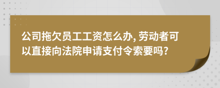 公司拖欠员工工资怎么办, 劳动者可以直接向法院申请支付令索要吗?