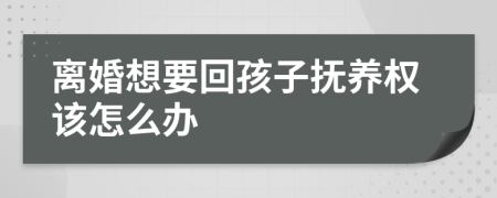离婚想要回孩子抚养权该怎么办