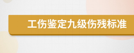 工伤鉴定九级伤残标准