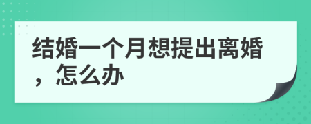 结婚一个月想提出离婚，怎么办