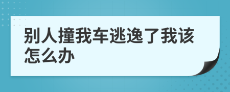 别人撞我车逃逸了我该怎么办