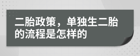 二胎政策，单独生二胎的流程是怎样的