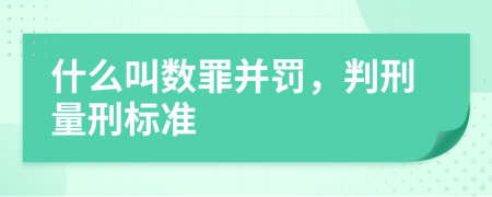 什么叫数罪并罚，判刑量刑标准