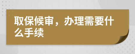 取保候审，办理需要什么手续