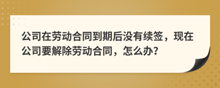 公司在劳动合同到期后没有续签，现在公司要解除劳动合同，怎么办？