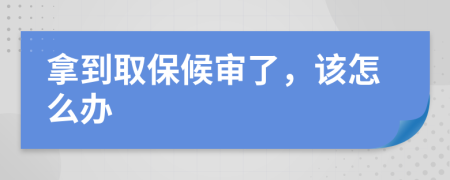 拿到取保候审了，该怎么办