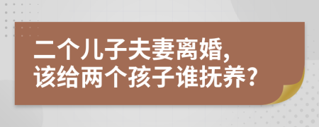 二个儿子夫妻离婚, 该给两个孩子谁抚养?