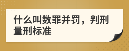 什么叫数罪并罚，判刑量刑标准