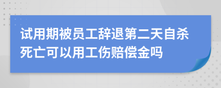 试用期被员工辞退第二天自杀死亡可以用工伤赔偿金吗