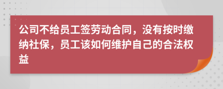 公司不给员工签劳动合同，没有按时缴纳社保，员工该如何维护自己的合法权益