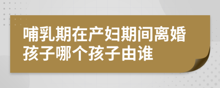 哺乳期在产妇期间离婚孩子哪个孩子由谁
