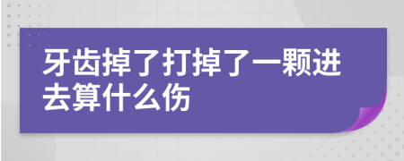 牙齿掉了打掉了一颗进去算什么伤
