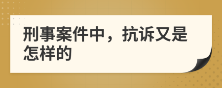 刑事案件中，抗诉又是怎样的