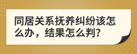 同居关系抚养纠纷该怎么办，结果怎么判？