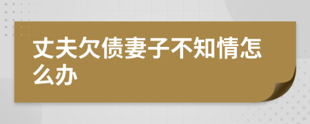 丈夫欠债妻子不知情怎么办