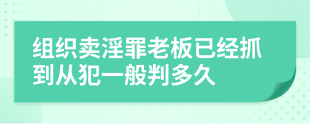 组织卖淫罪老板已经抓到从犯一般判多久