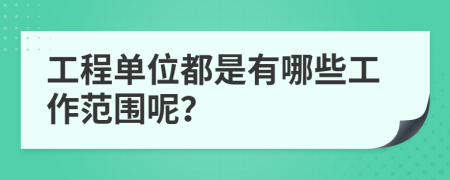 工程单位都是有哪些工作范围呢？