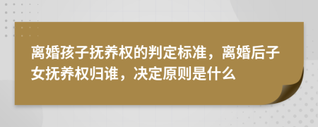 离婚孩子抚养权的判定标准，离婚后子女抚养权归谁，决定原则是什么