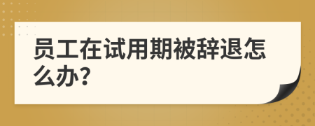 员工在试用期被辞退怎么办？