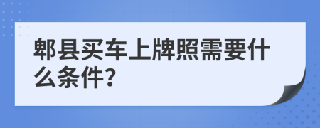 郫县买车上牌照需要什么条件？