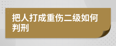 把人打成重伤二级如何判刑