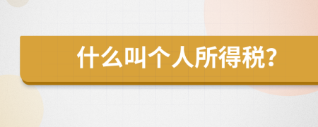 什么叫个人所得税？
