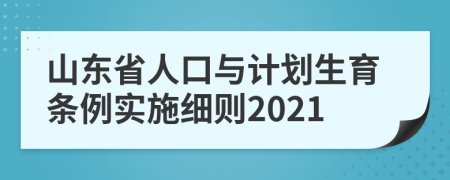 山东省人口与计划生育条例实施细则2021